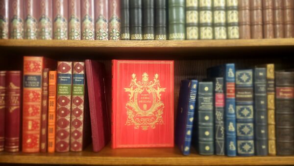 Ziemia Obiecana Librarium Imago Edycja Złota Cegła Mora