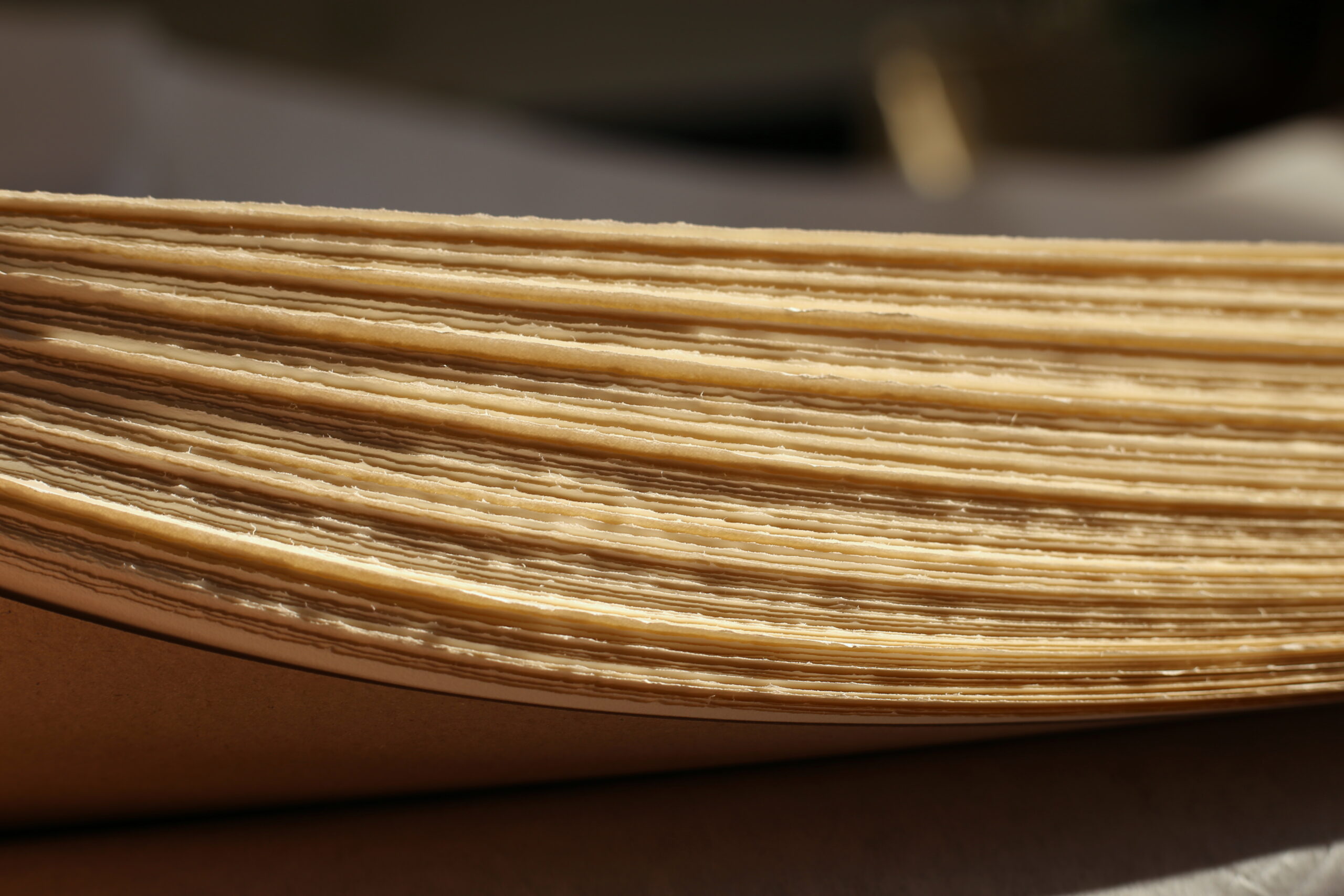 Ziemia Obiecana - Edycja Fabrykancka - obrazek 3