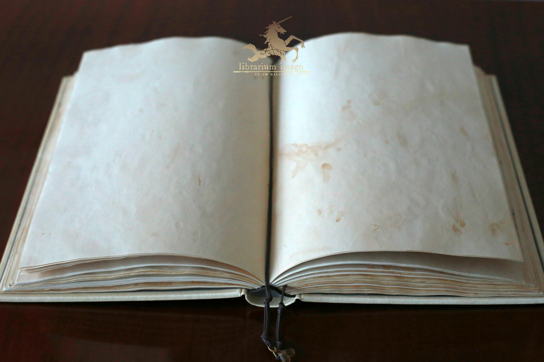 Grimoire – Księga Miłości, Mocy i Świadomości - obrazek 10